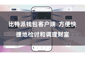 比特派钱包客户端 方便快捷地检讨和调理财富