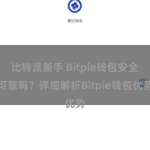 比特派新手 Bitpie钱包安全可靠吗？详细解析Bitpie钱包优势