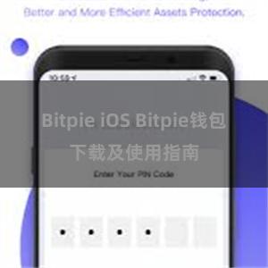 Bitpie iOS Bitpie钱包下载及使用指南