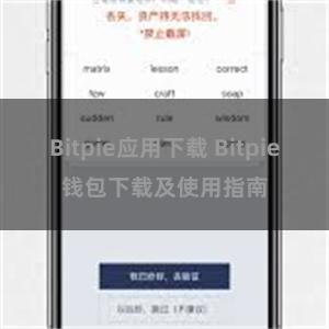 Bitpie应用下载 Bitpie钱包下载及使用指南