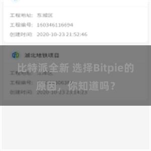 比特派全新 选择Bitpie的原因，你知道吗？