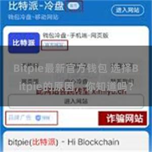 Bitpie最新官方钱包 选择Bitpie的原因，你知道吗？