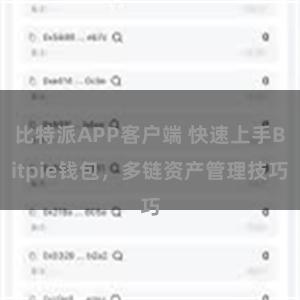 比特派APP客户端 快速上手Bitpie钱包，多链资产管理技巧