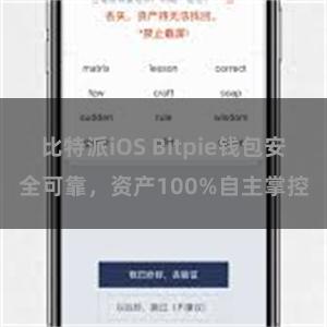 比特派iOS Bitpie钱包安全可靠，资产100%自主掌控