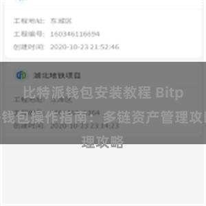 比特派钱包安装教程 Bitpie钱包操作指南：多链资产管理攻略