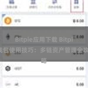 Bitpie应用下载 Bitpie钱包使用技巧：多链资产管理全攻略