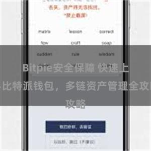 Bitpie安全保障 快速上手比特派钱包，多链资产管理全攻略