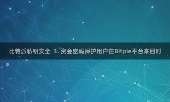 比特派私钥安全  3. 资金密码保护用户在Bitpie平台来回时