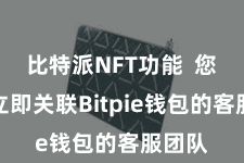 比特派NFT功能  您需要立即关联Bitpie钱包的客服团队